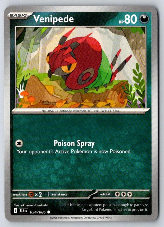 Venipede 054/086 Common Black Bolt Pokemon Near Mint