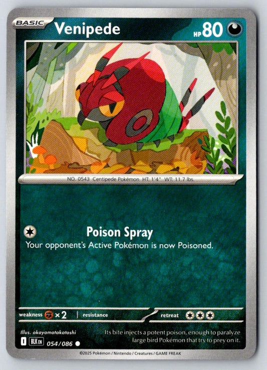 Venipede 054/086 Common Black Bolt Pokemon Near Mint