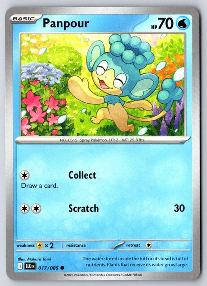 Panpour 017/086 Common Black Bolt Pokemon Near Mint