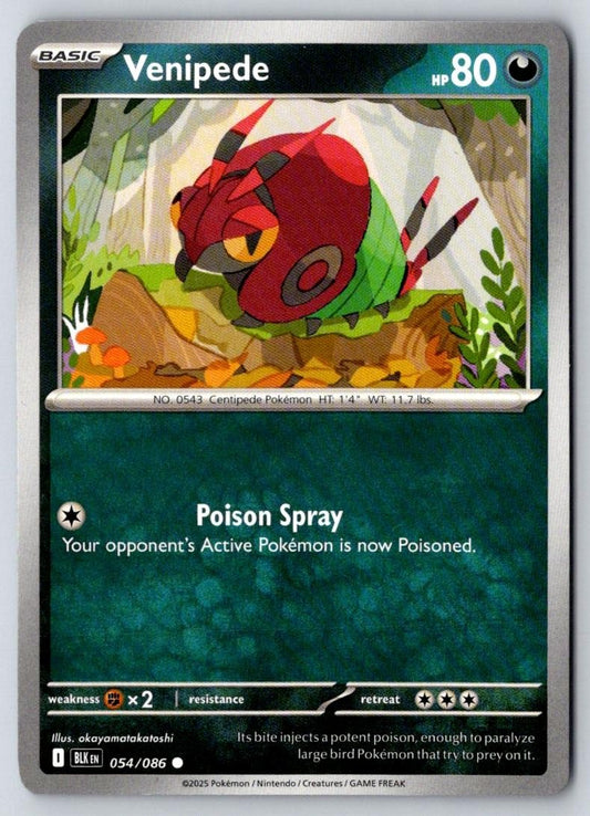 Venipede 054/086 Common Black Bolt Pokemon Near Mint