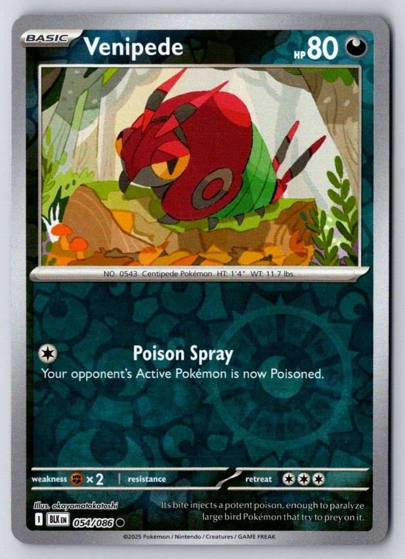 Venipede 054/086 Common Black Bolt Pokemon Near Mint