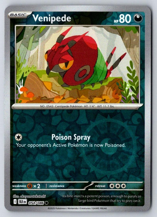 Venipede 054/086 Common Black Bolt Pokemon Near Mint