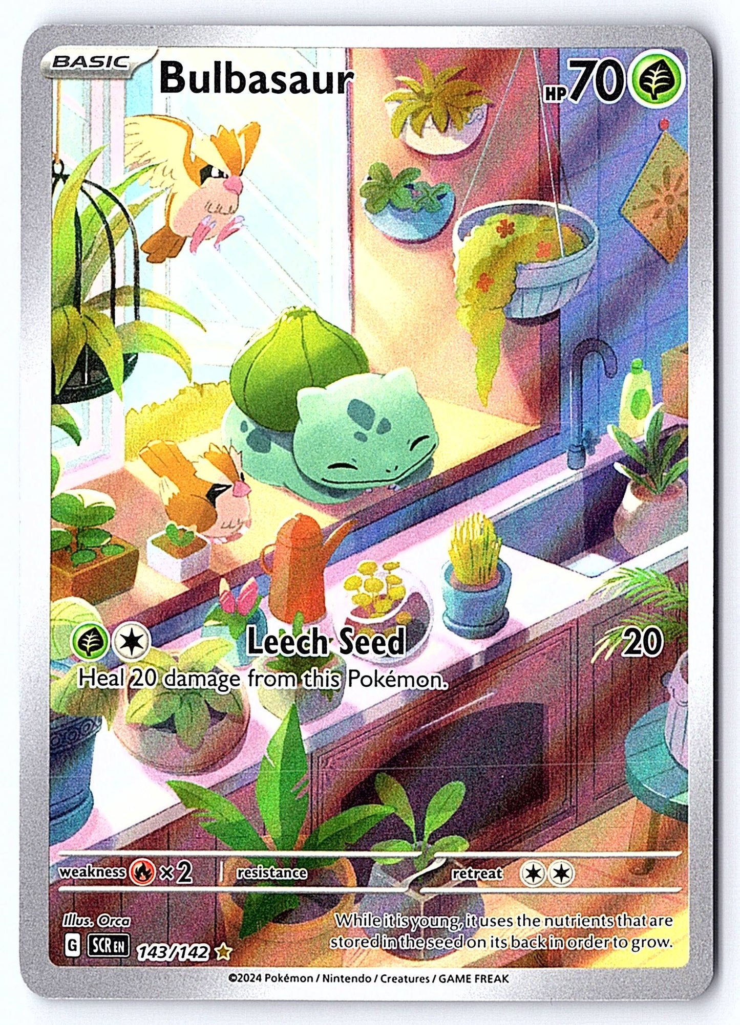Bulbasaur 143/142